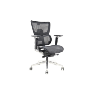 Aseel Medium back chair Black