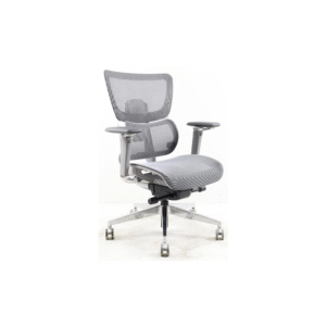 Aseel Medium back chair Grey