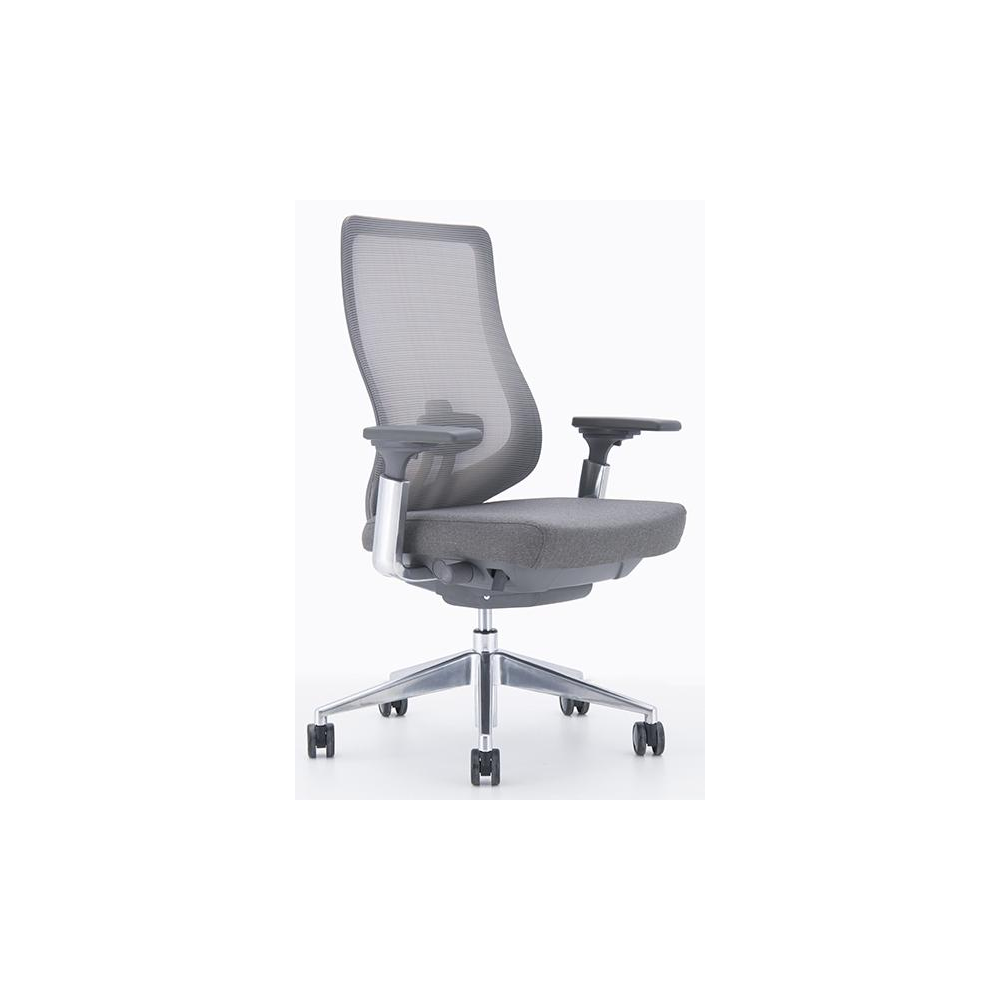 Riaal Medium back chair Grey