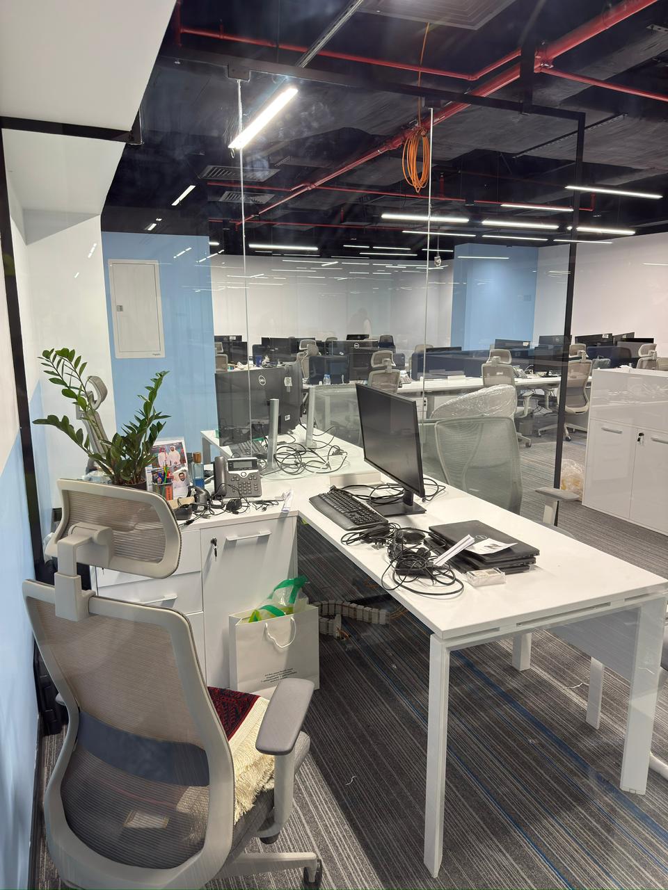 WhatsApp Image 2026-02-12 at 2.32.02 PM